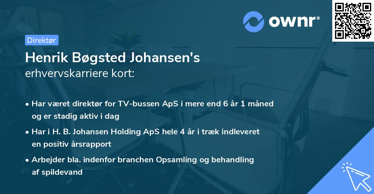 Henrik Bøgsted Johansen's erhvervskarriere kort