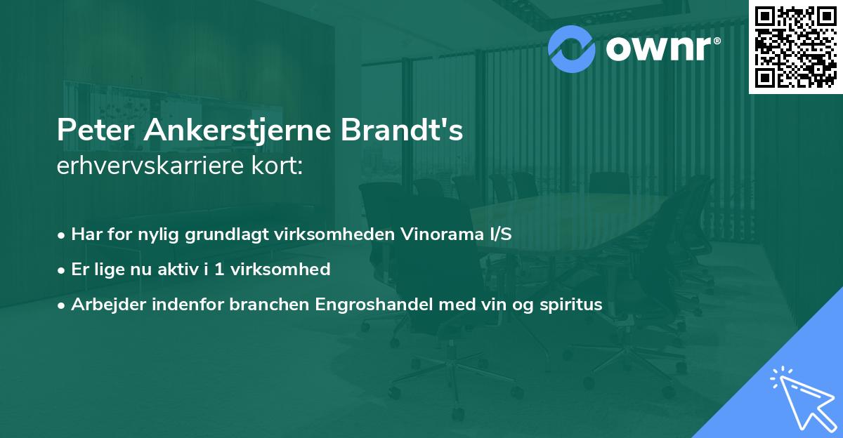 Peter Ankerstjerne Brandt's erhvervskarriere kort