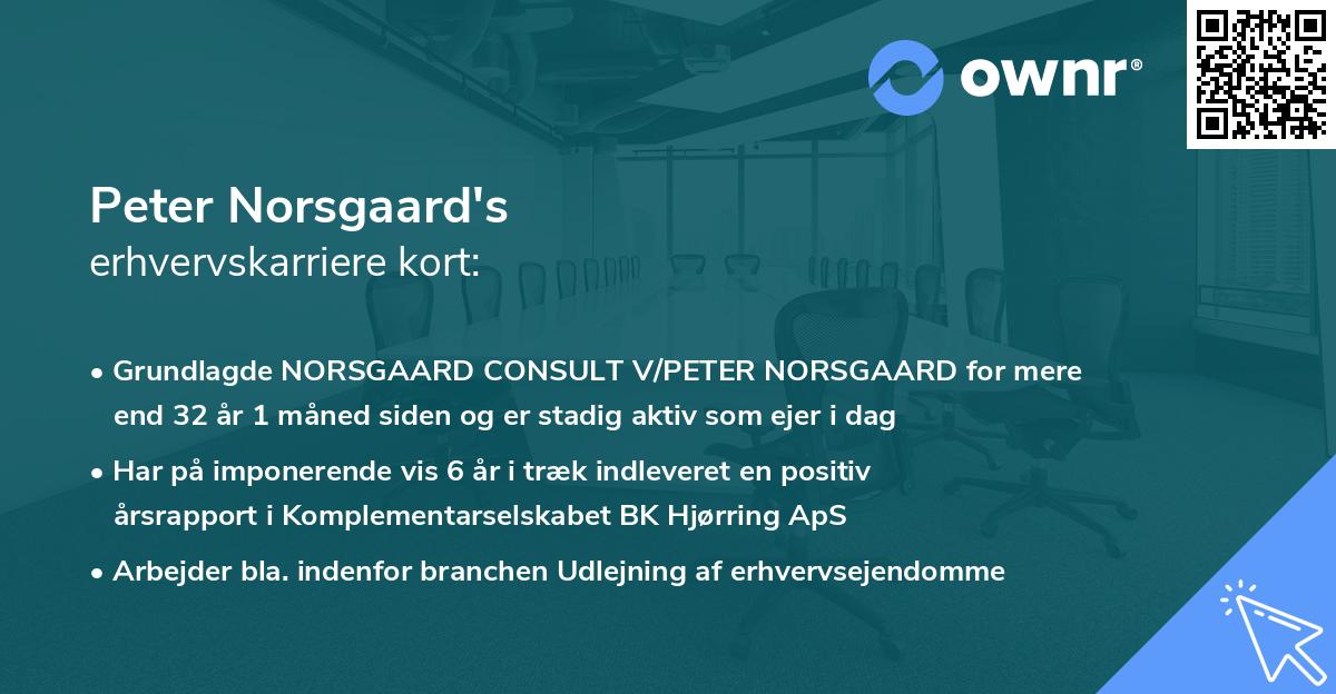 Peter Norsgaard's erhvervskarriere kort