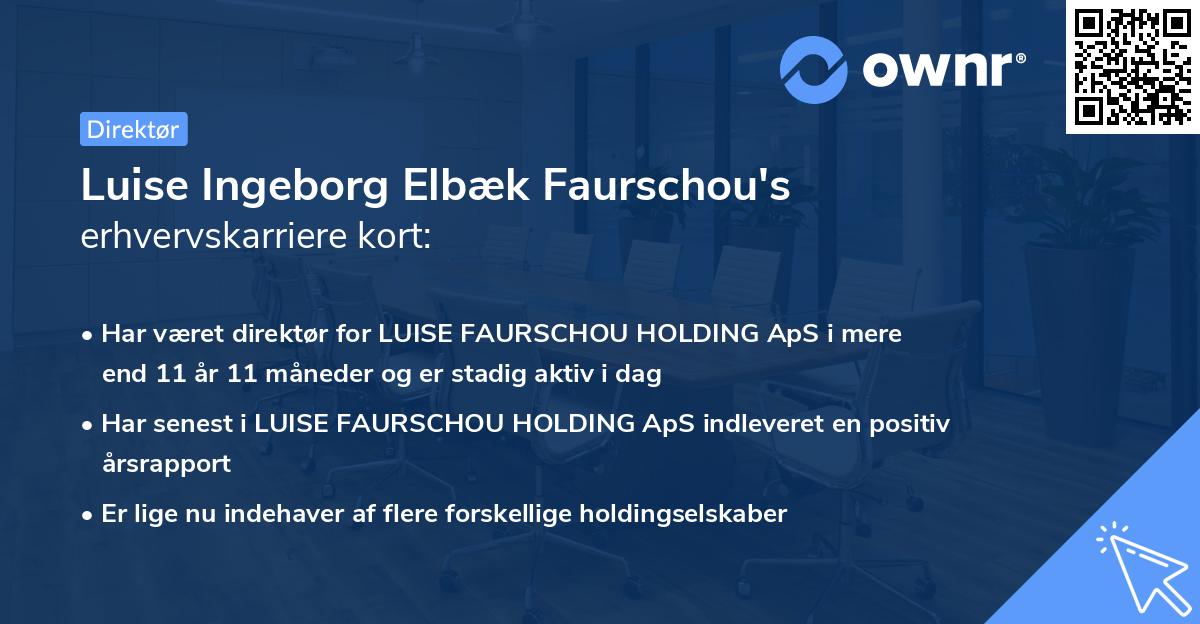 Luise Ingeborg Elbæk Faurschou's erhvervskarriere kort