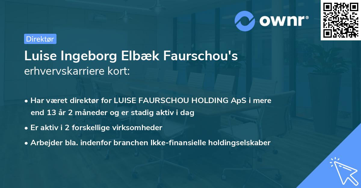 Luise Ingeborg Elbæk Faurschou's erhvervskarriere kort