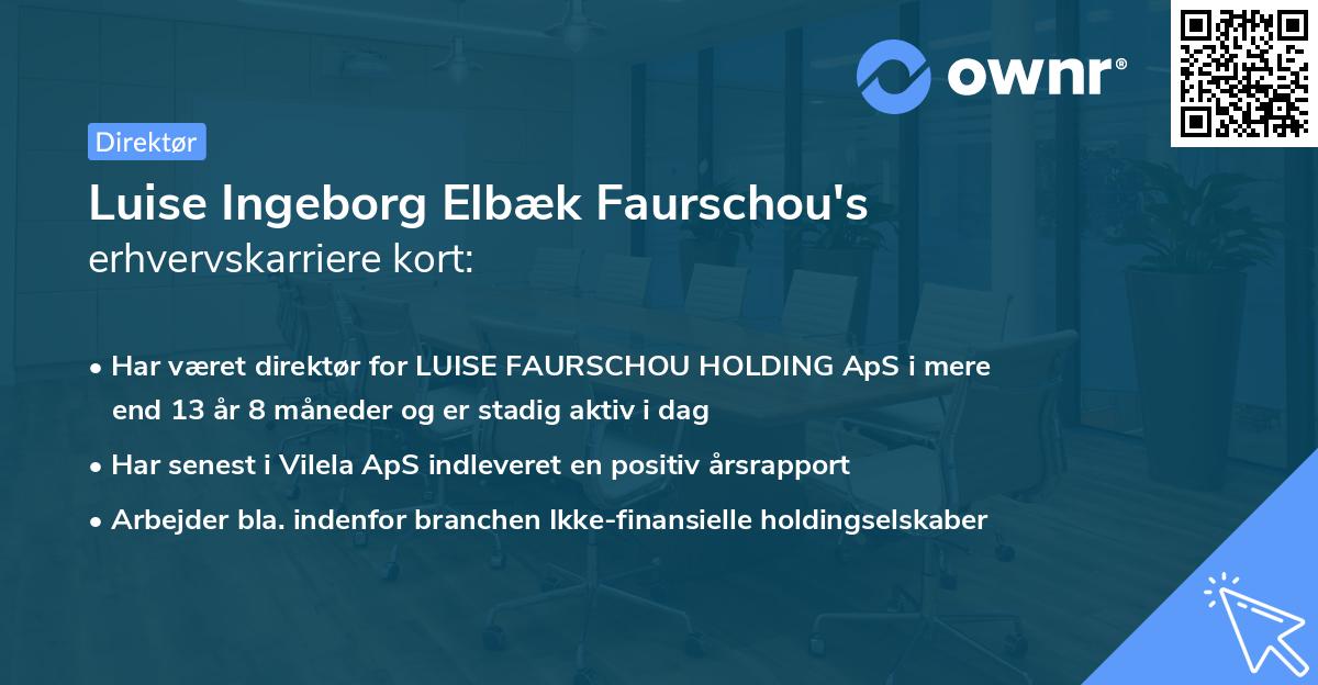 Luise Ingeborg Elbæk Faurschou's erhvervskarriere kort