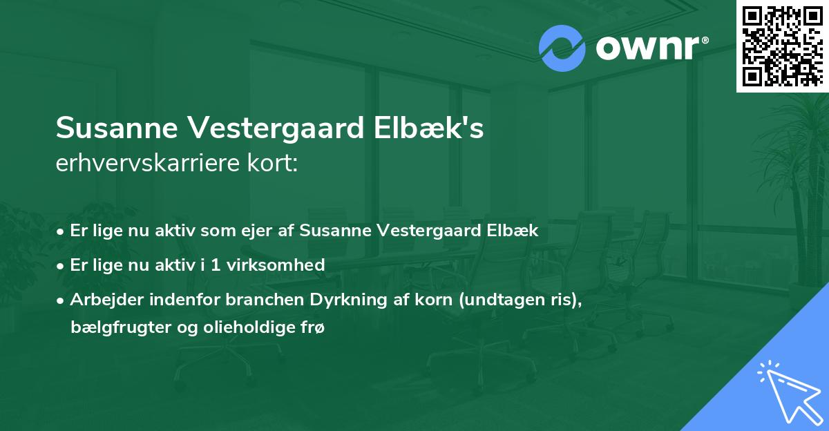 Susanne Vestergaard Elbæk's erhvervskarriere kort