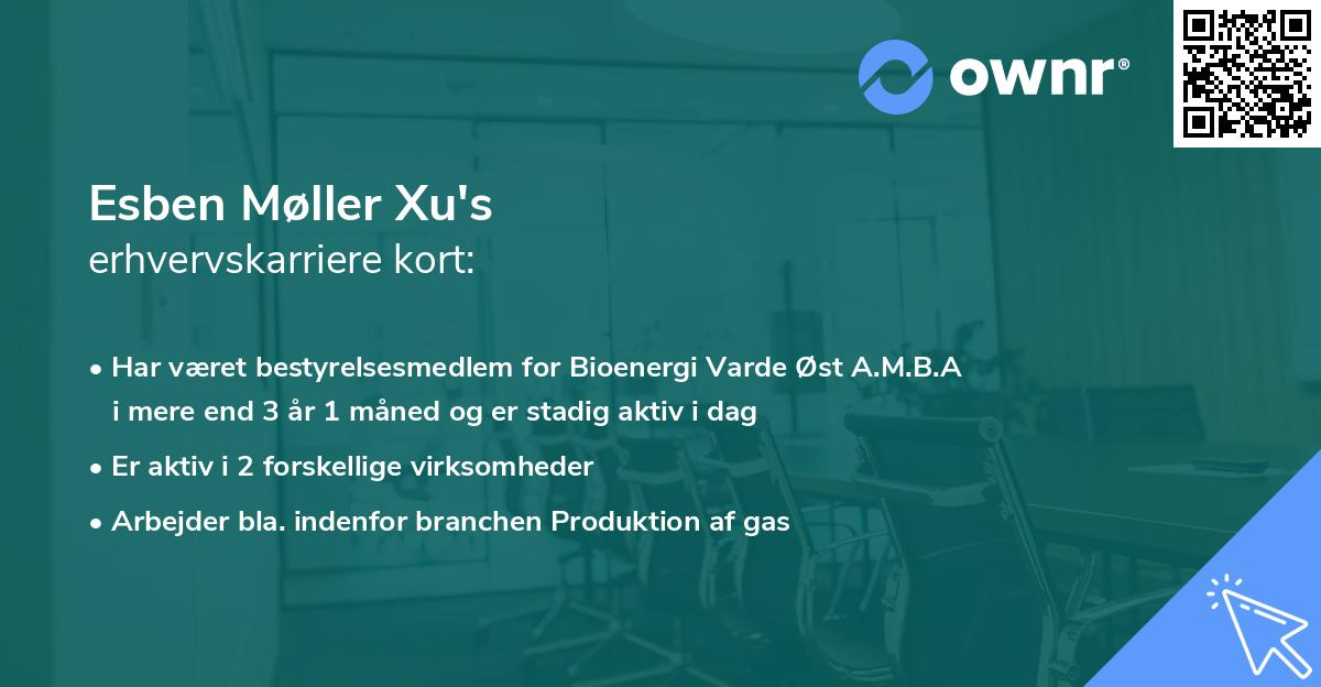 Esben Møller Xu's erhvervskarriere kort