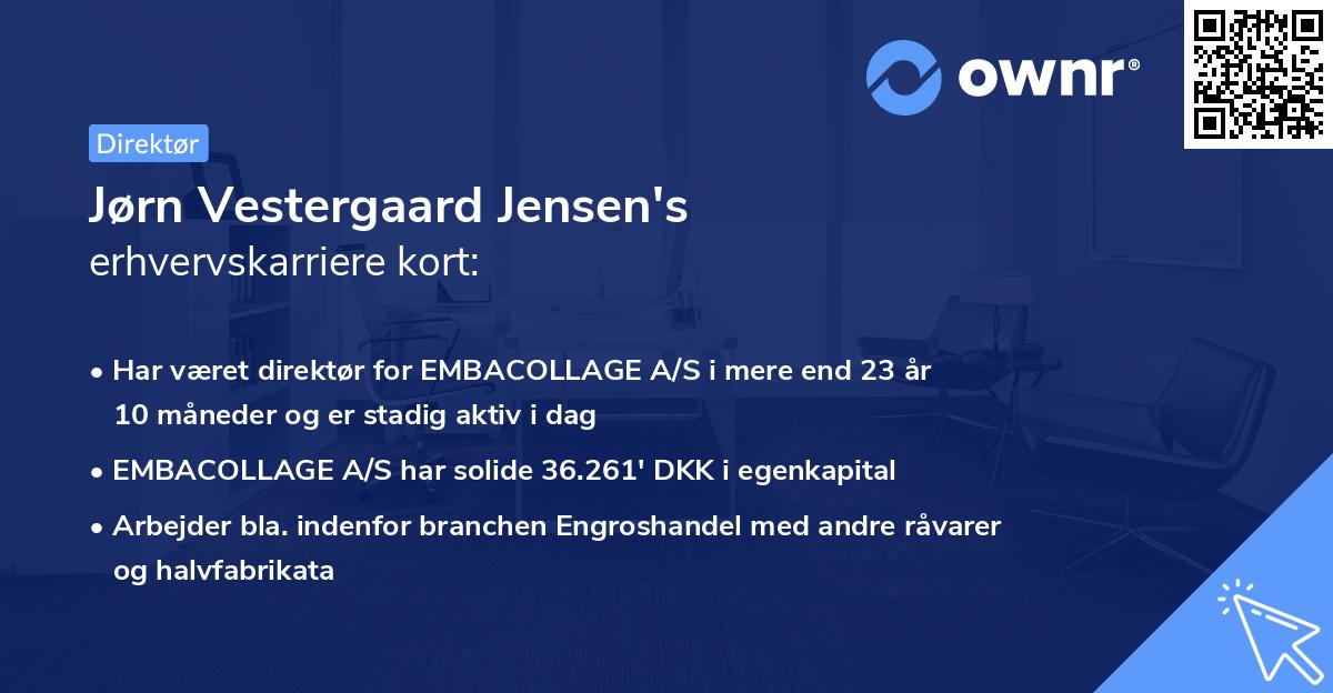 Jørn Vestergaard Jensen's erhvervskarriere kort