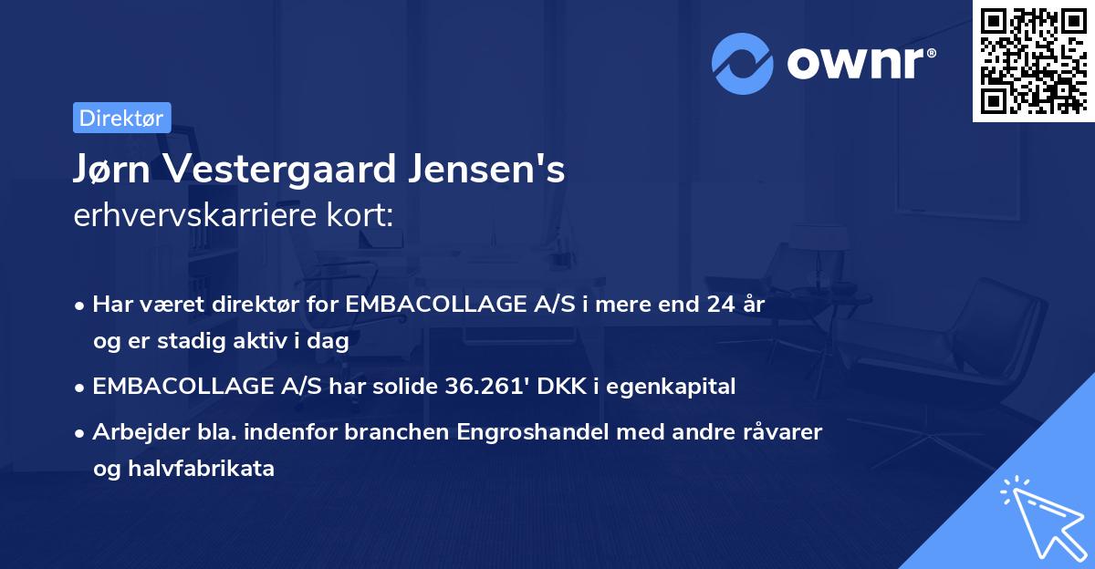 Jørn Vestergaard Jensen's erhvervskarriere kort