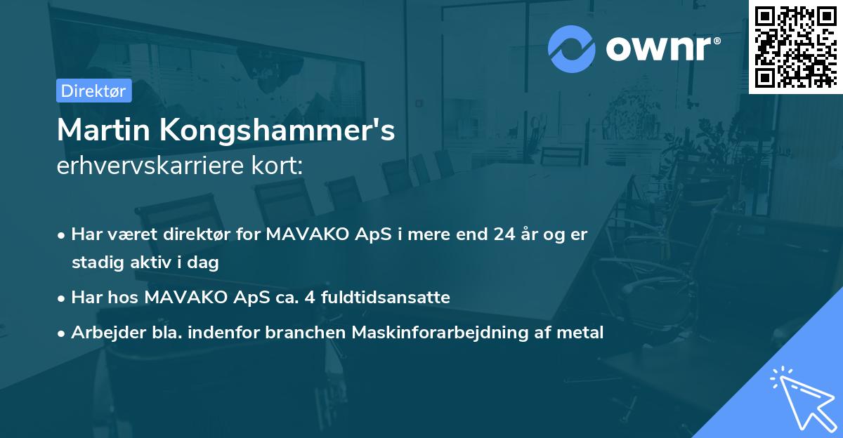 Martin Kongshammer's erhvervskarriere kort