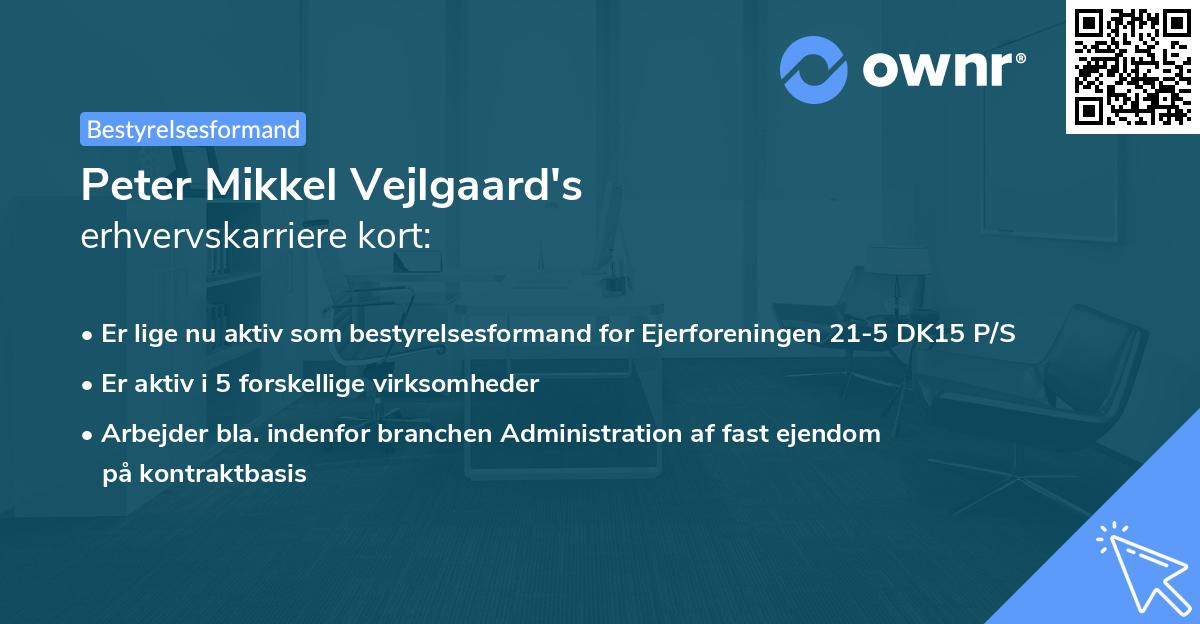 Peter Mikkel Vejlgaard's erhvervskarriere kort