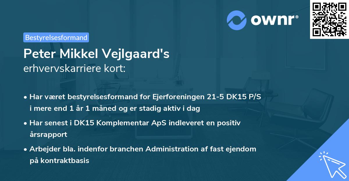 Peter Mikkel Vejlgaard's erhvervskarriere kort