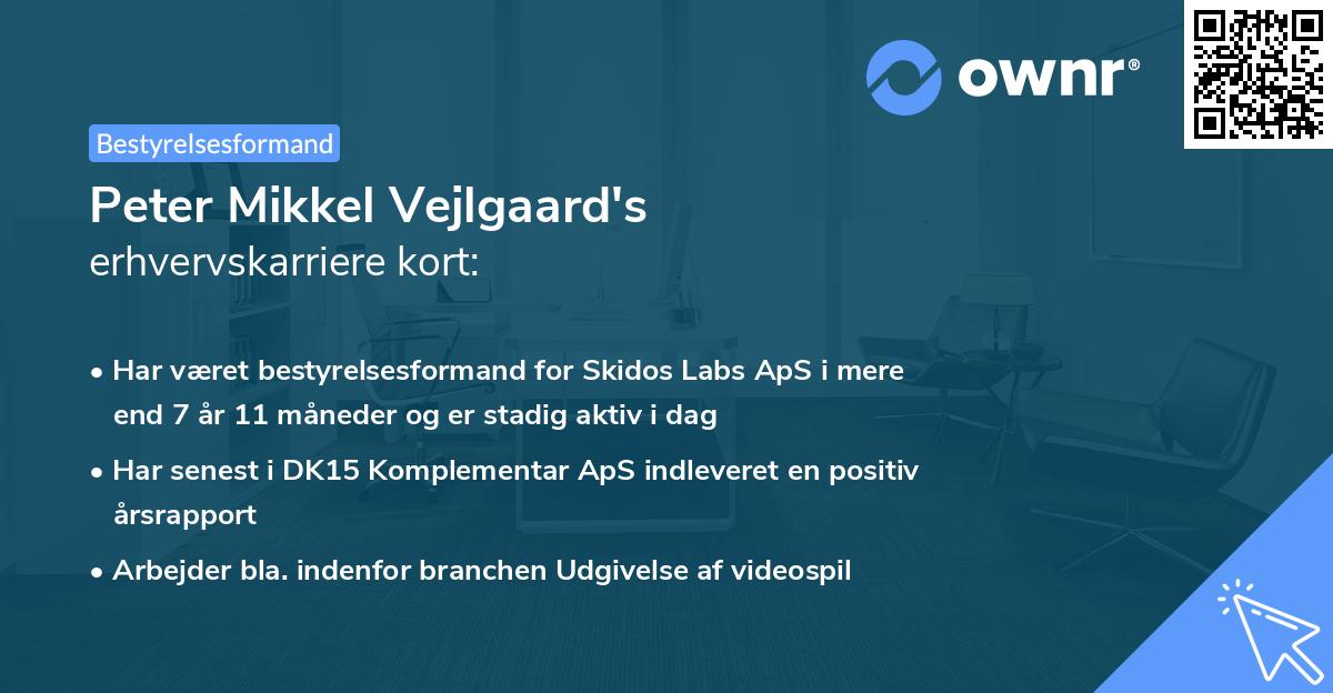 Peter Mikkel Vejlgaard's erhvervskarriere kort