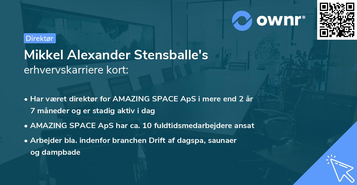 Mikkel Alexander Stensballe's erhvervskarriere kort