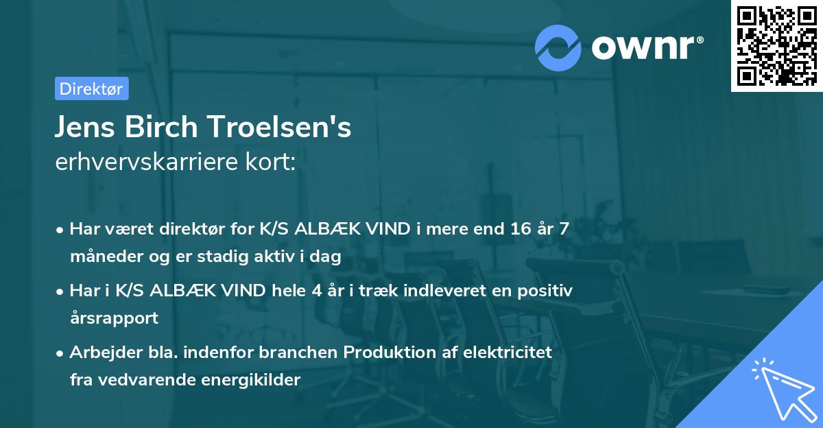 Jens Birch Troelsen's erhvervskarriere kort