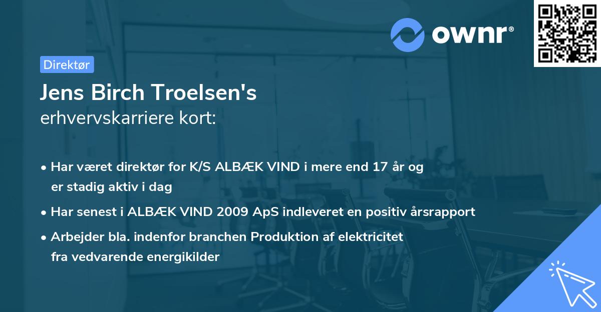 Jens Birch Troelsen's erhvervskarriere kort