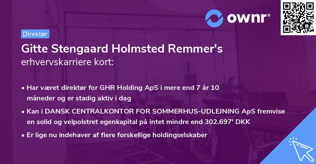 Gitte Stengaard Holmsted Remmer's erhvervskarriere kort