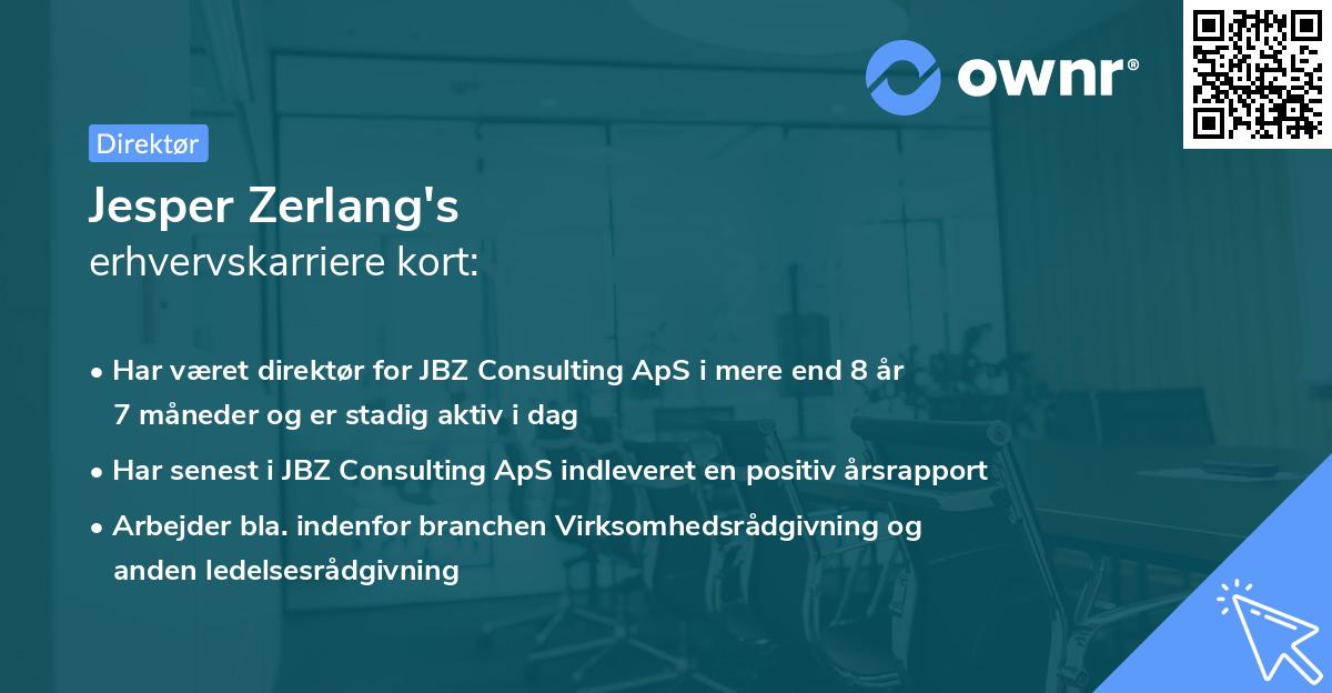 Jesper Zerlang's erhvervskarriere kort