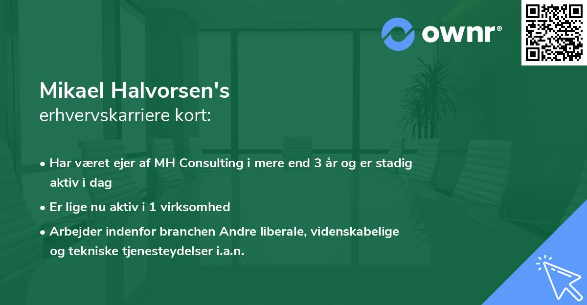 Mikael Halvorsen's erhvervskarriere kort