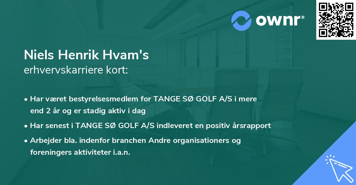 Niels Henrik Hvam's erhvervskarriere kort