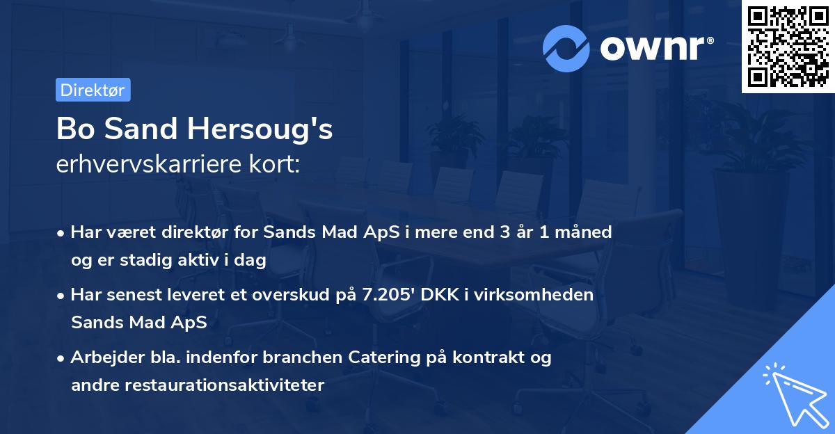 Bo Sand Hersoug's erhvervskarriere kort