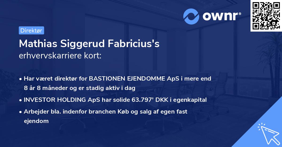 Mathias Siggerud Fabricius's erhvervskarriere kort