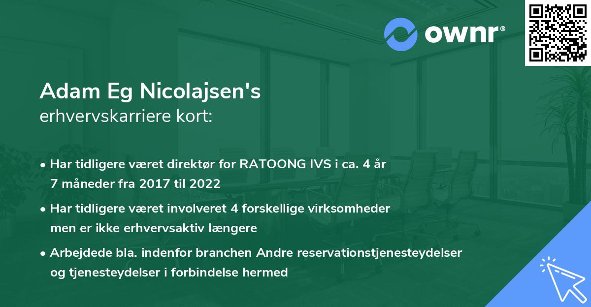Adam Eg Nicolajsen's erhvervskarriere kort