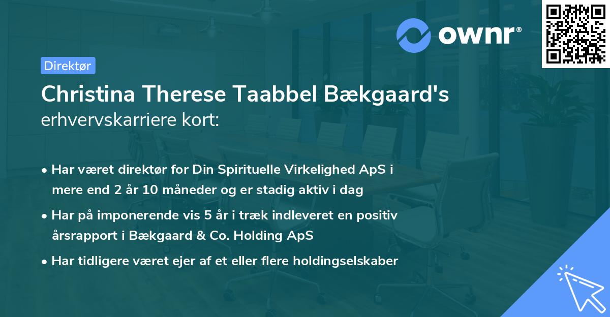 Christina Therese Taabbel Bækgaard's erhvervskarriere kort