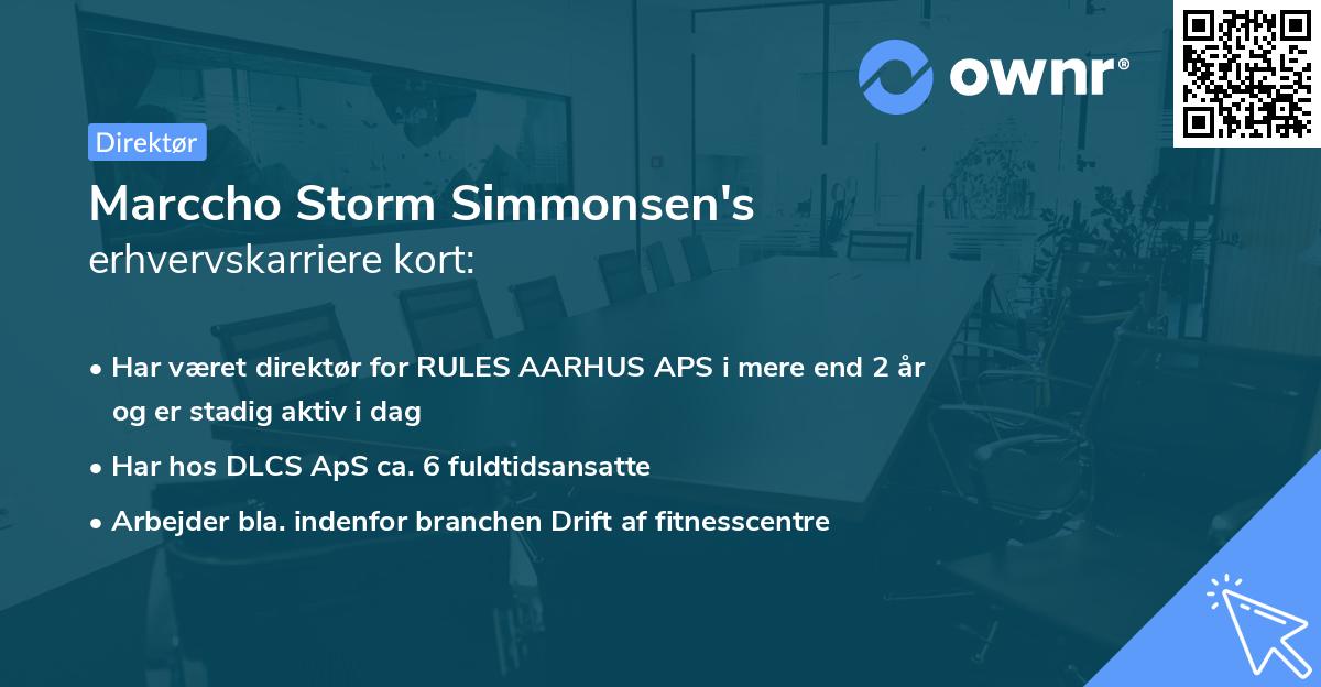 Marccho Storm Simmonsen's erhvervskarriere kort