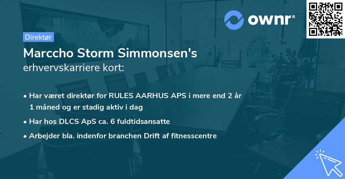 Marccho Storm Simmonsen's erhvervskarriere kort