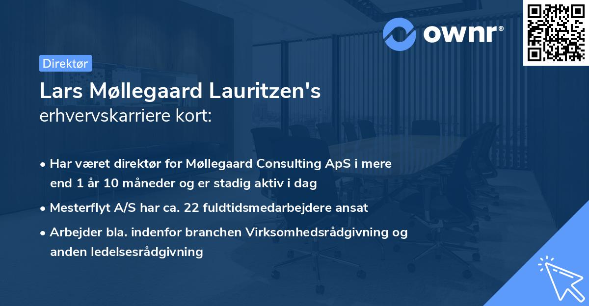 Lars Møllegaard Lauritzen's erhvervskarriere kort