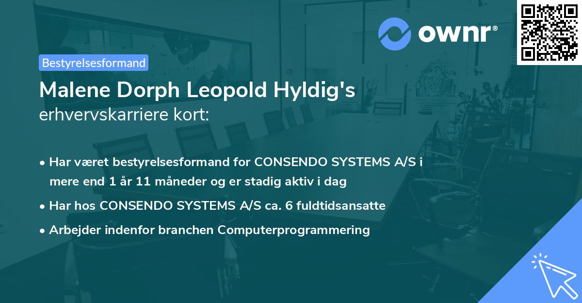 Malene Dorph Leopold Hyldig's erhvervskarriere kort