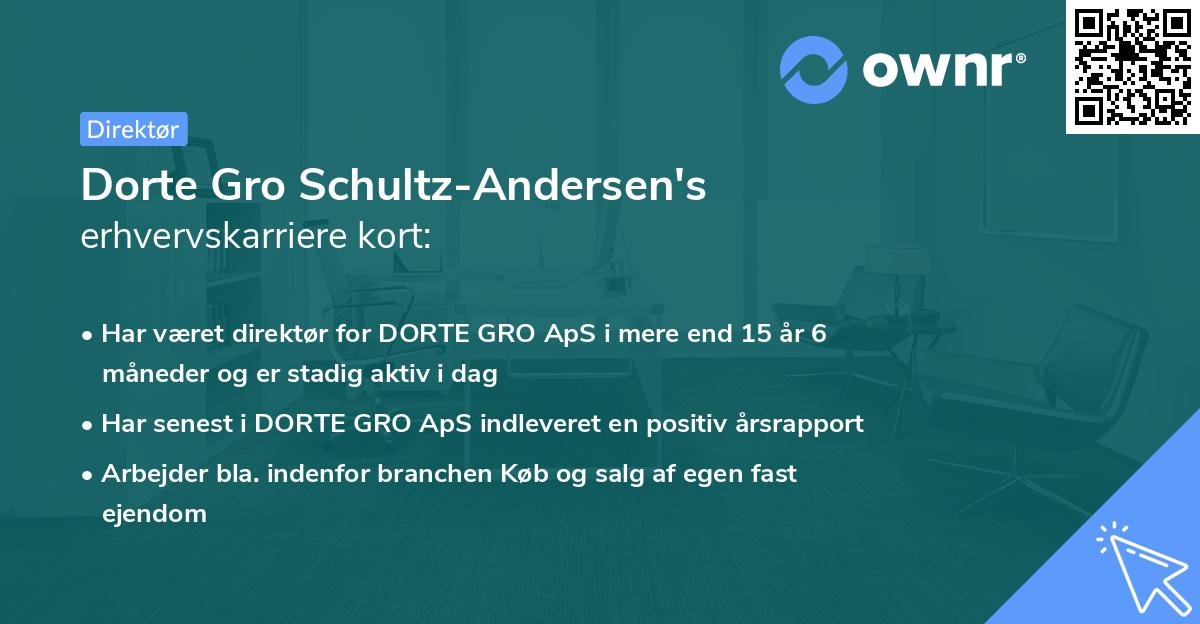 Dorte Gro Schultz-Andersen's erhvervskarriere kort