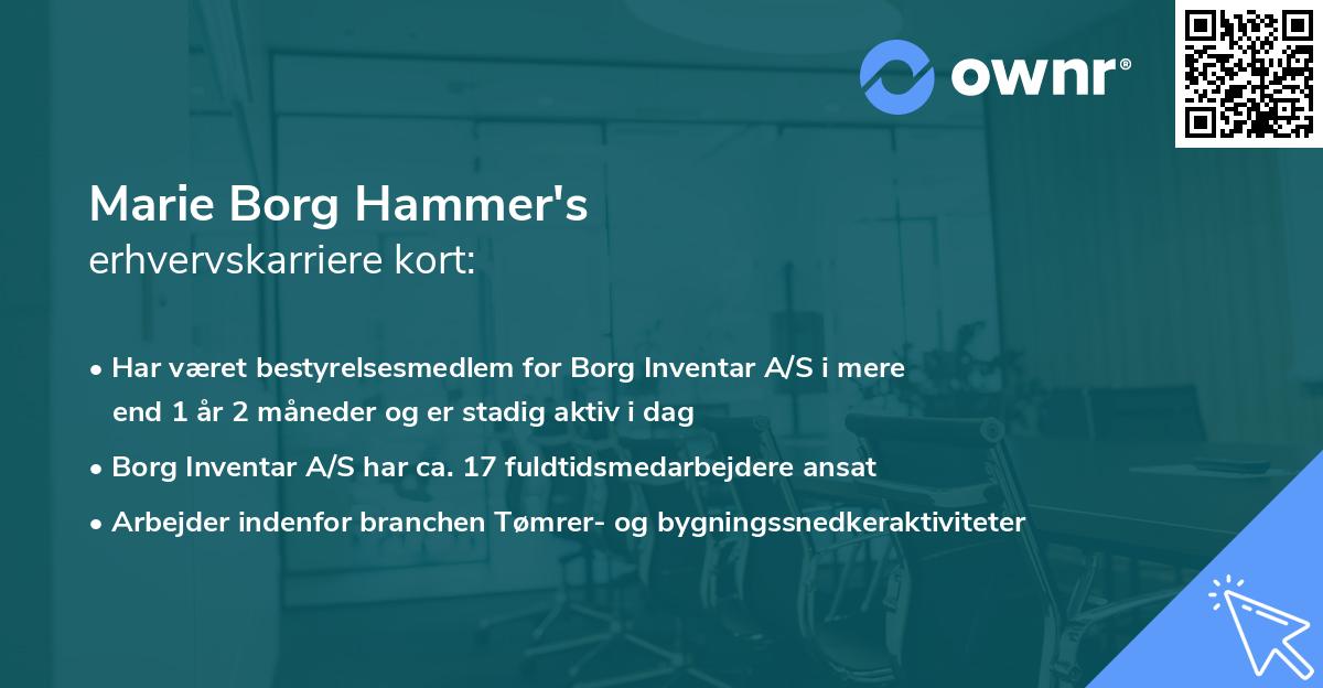 Marie Borg Hammer's erhvervskarriere kort