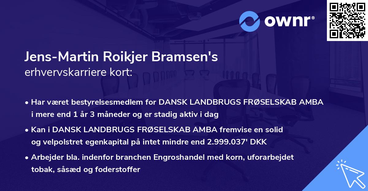 Jens-Martin Roikjer Bramsen's erhvervskarriere kort