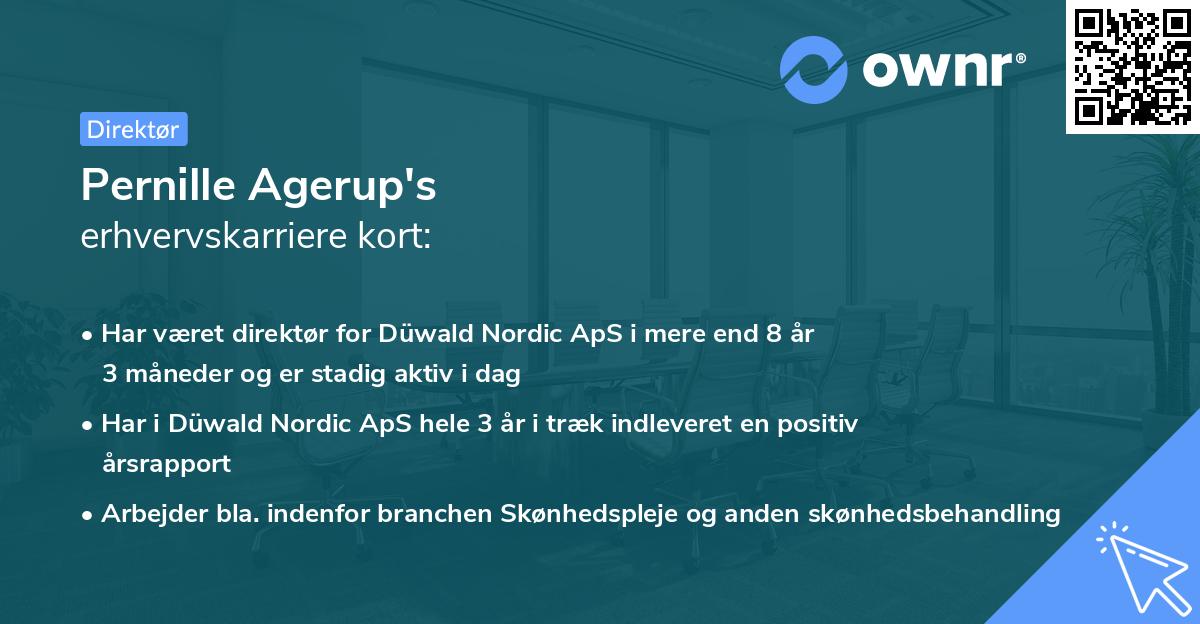 Pernille Agerup's erhvervskarriere kort