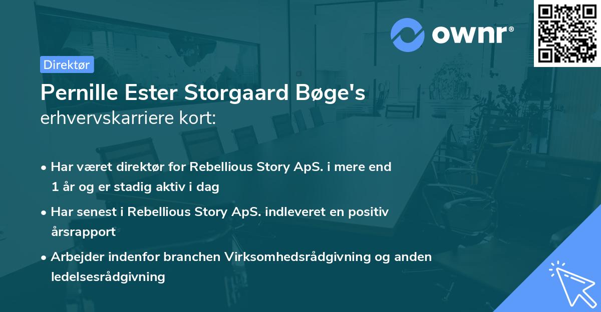 Pernille Ester Storgaard Bøge's erhvervskarriere kort