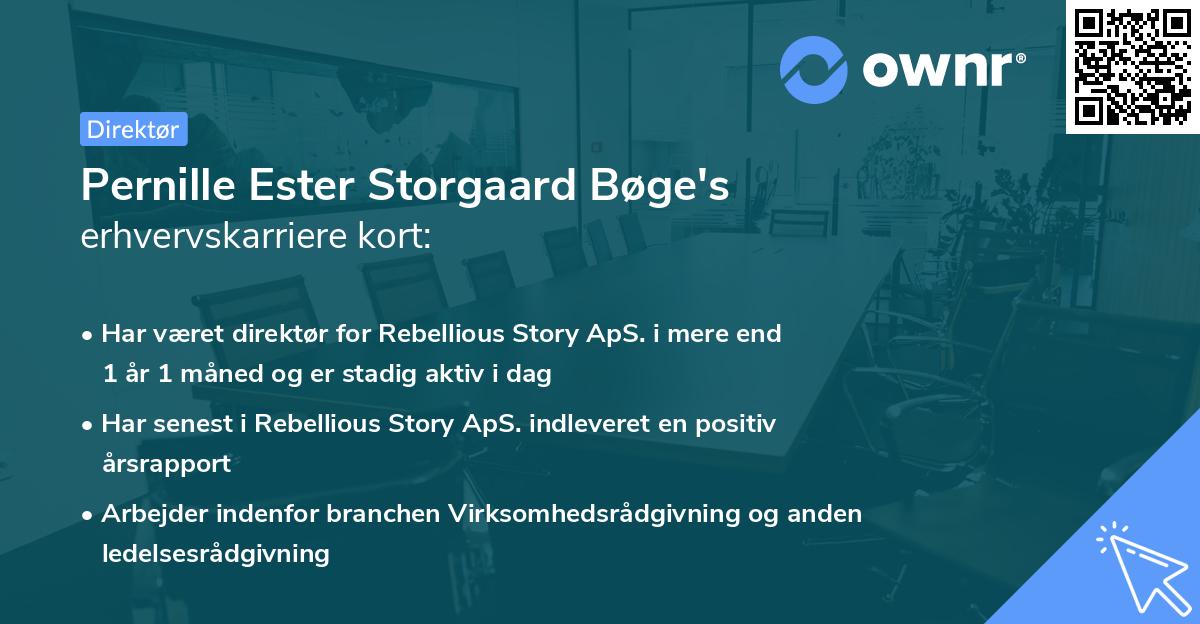 Pernille Ester Storgaard Bøge's erhvervskarriere kort