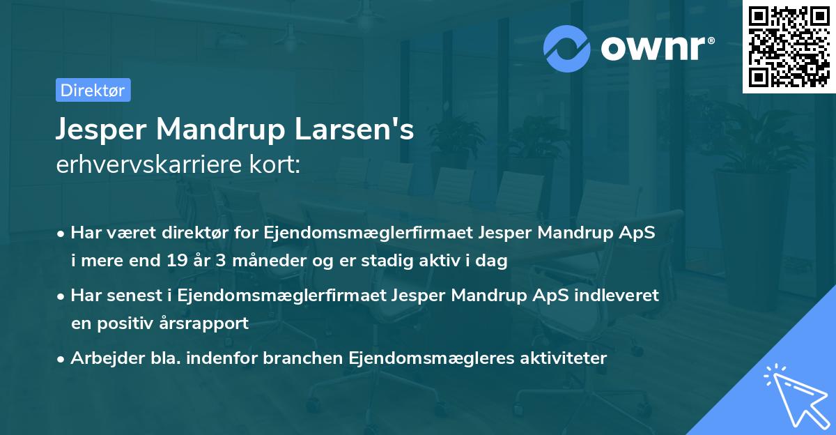 Jesper Mandrup Larsen's erhvervskarriere kort