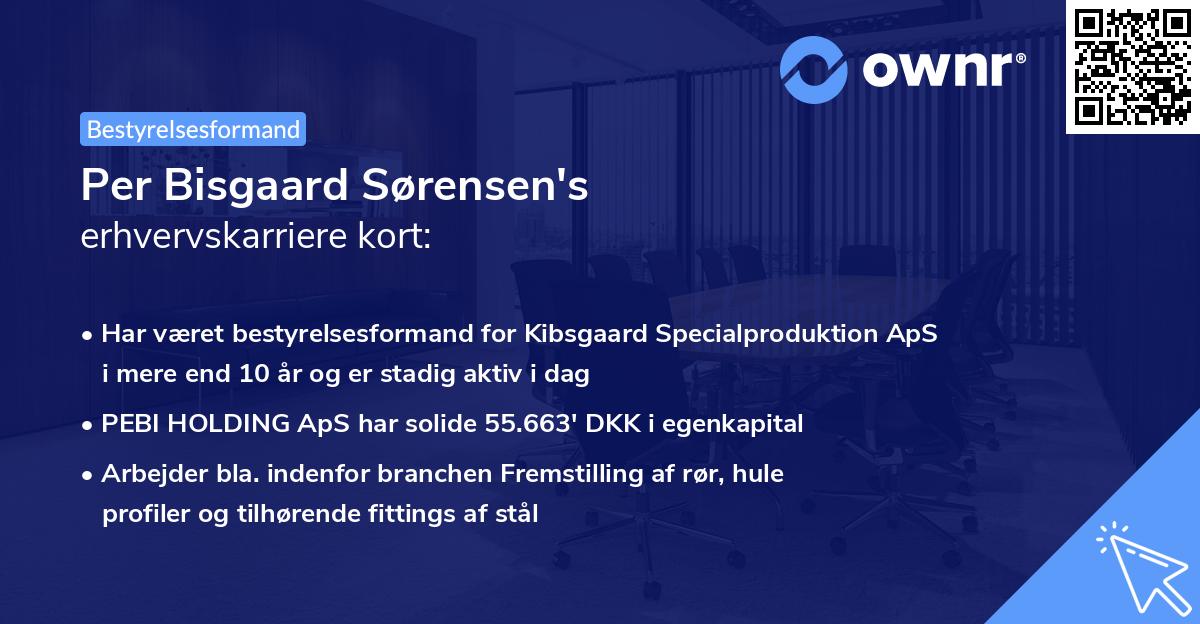 Per Bisgaard Sørensen's erhvervskarriere kort