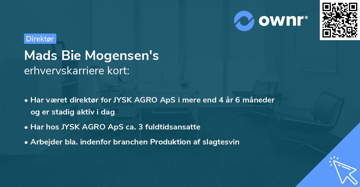 Mads Bie Mogensen's erhvervskarriere kort