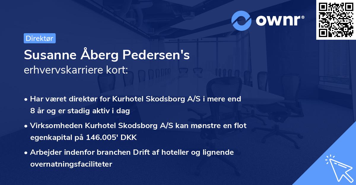 Susanne Åberg Pedersen's erhvervskarriere kort