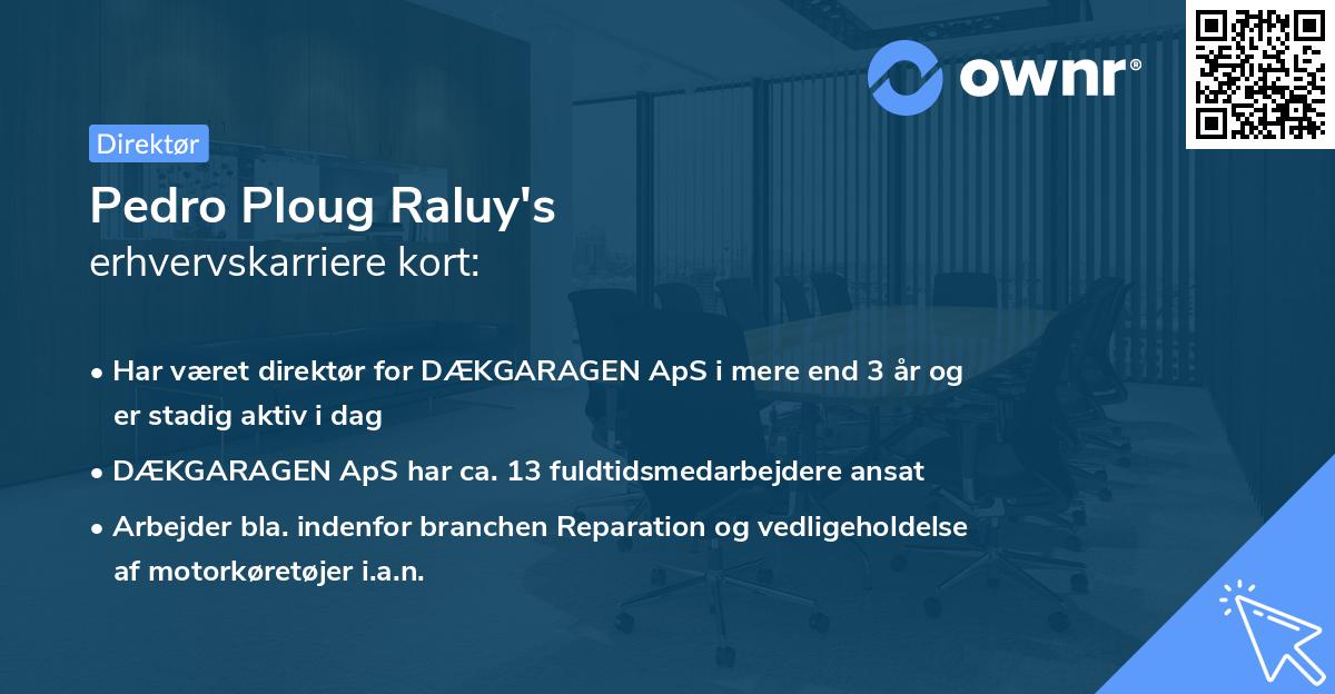 Pedro Ploug Raluy's erhvervskarriere kort