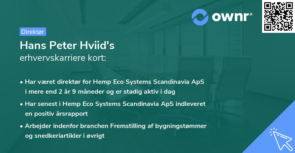 Hans Peter Hviid's erhvervskarriere kort
