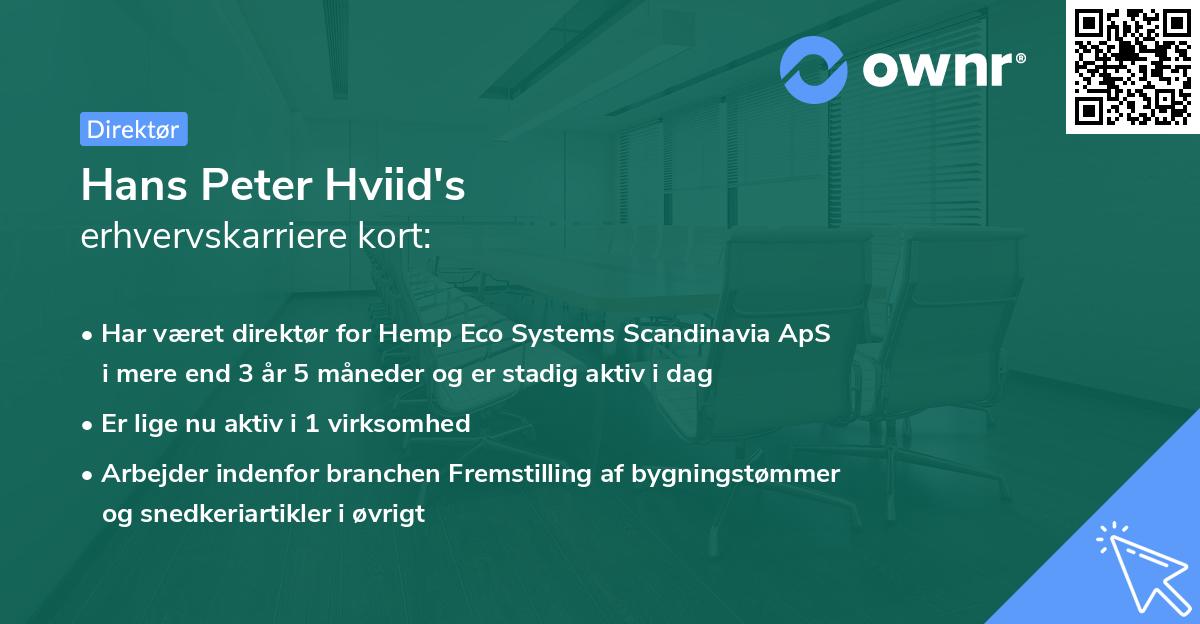 Hans Peter Hviid's erhvervskarriere kort