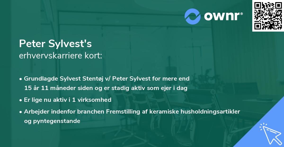 Peter Sylvest's erhvervskarriere kort