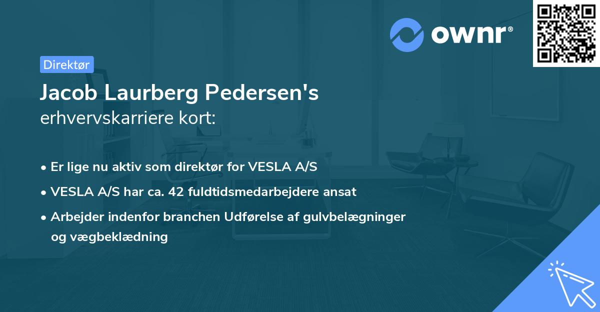 Jacob Laurberg Pedersen's erhvervskarriere kort