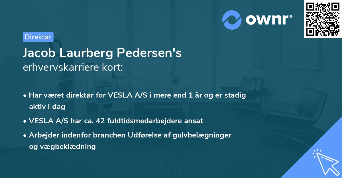 Jacob Laurberg Pedersen's erhvervskarriere kort