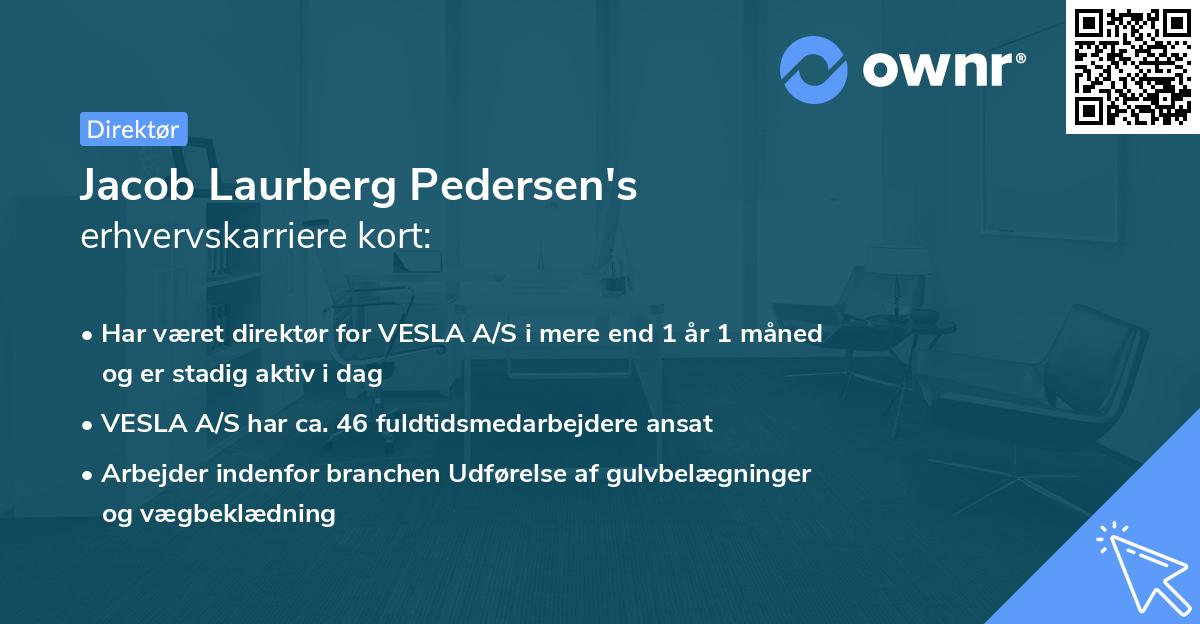 Jacob Laurberg Pedersen's erhvervskarriere kort