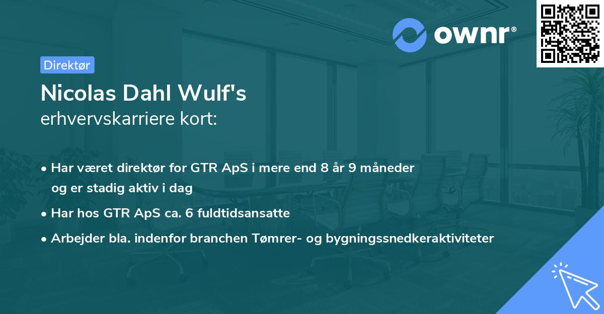 Nicolas Dahl Wulf's erhvervskarriere kort