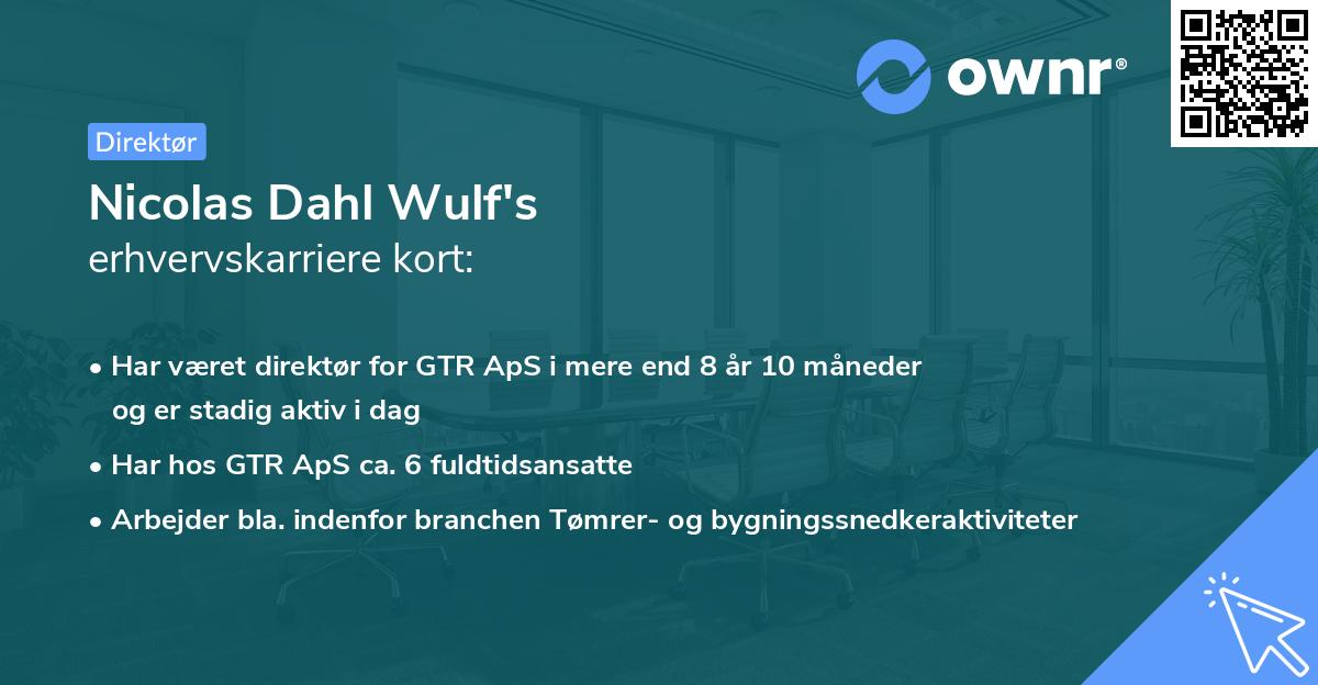 Nicolas Dahl Wulf's erhvervskarriere kort