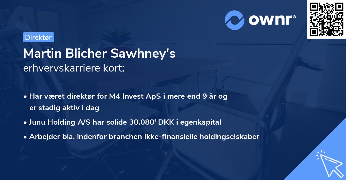 Martin Blicher Sawhney's erhvervskarriere kort