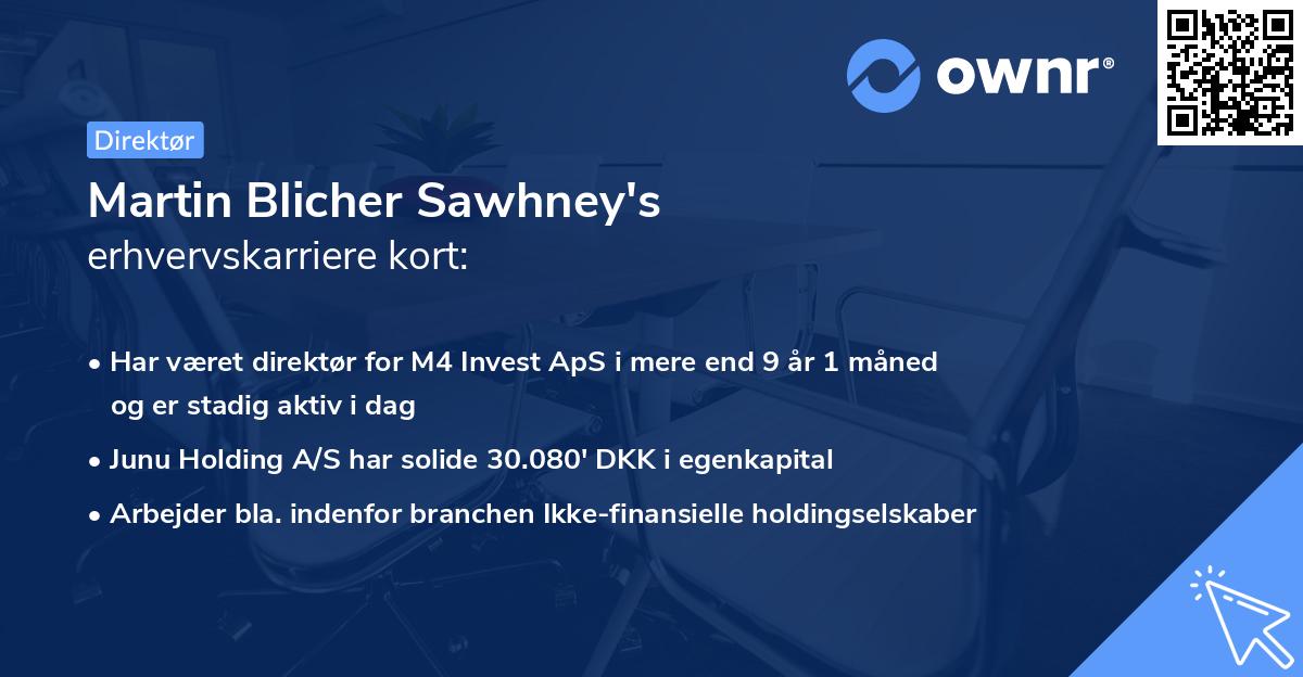 Martin Blicher Sawhney's erhvervskarriere kort